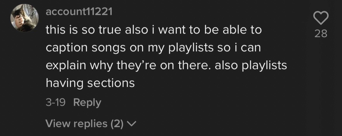 Reply, 28 likes: wanting to caption songs to explain why they're on a playlist, and playlists organized into sections